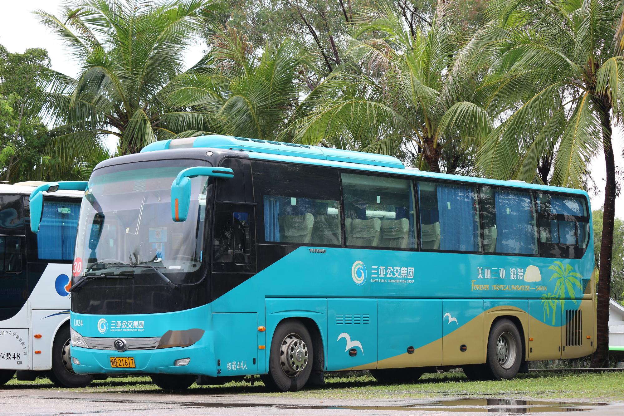 三亞公車拍賣最新動態(tài)更新，公車拍賣消息速遞