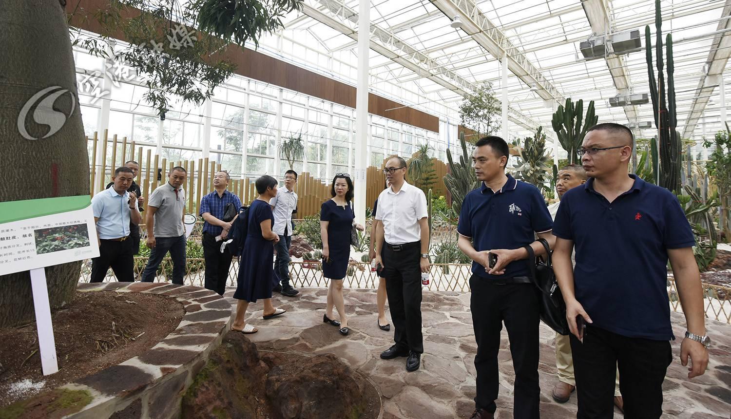 黃龍溪華僑城最新動態，揭開未來無限可能的發展藍圖