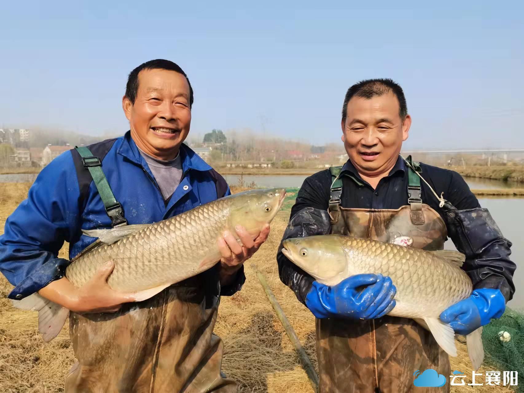 南漳縣未來城市宏偉藍圖規劃圖曝光，描繪全新城市面貌