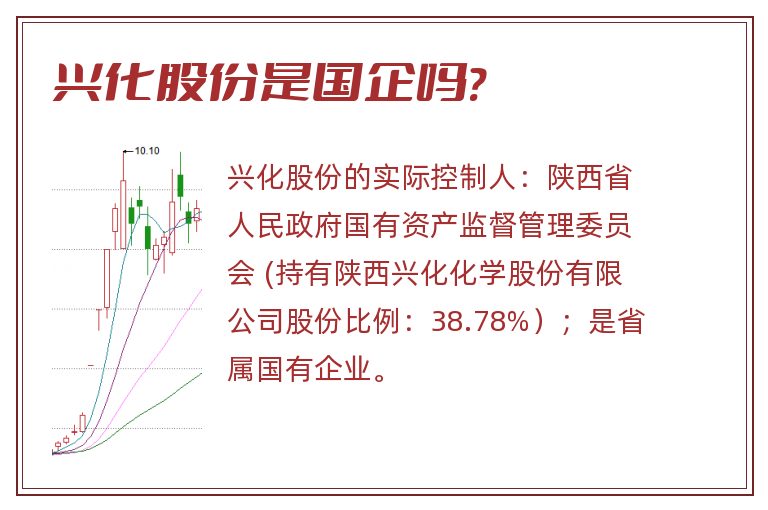 興化股份最新動態(tài)全面解析